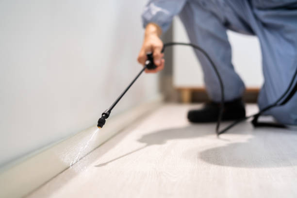 Bed Bug Pre-Treatment Preparation Assessment in Eastover