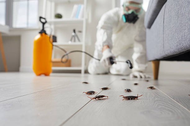 Post-Treatment Bed Bug Interceptor Monitoring in Eastover